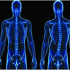 spine-and-joints-services-003